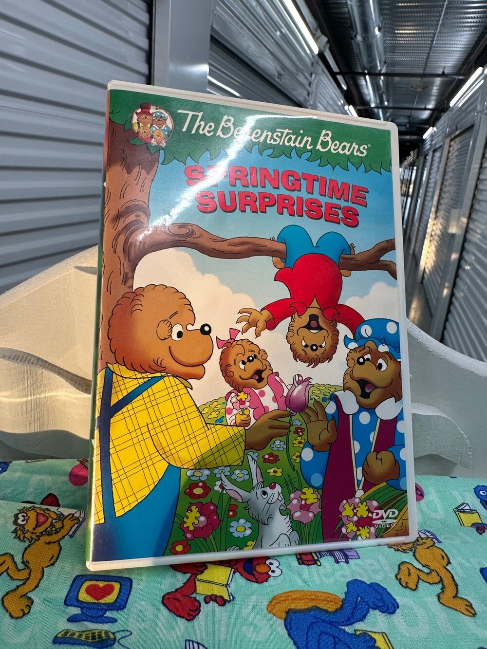 The Berenstein Bears Springtime Surprises